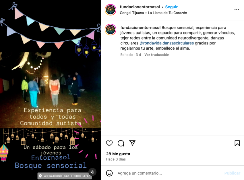 Instagram Entornasol