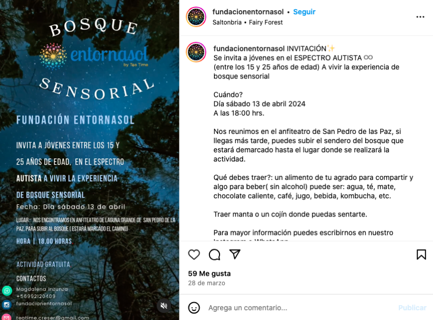 Instagram Entornasol