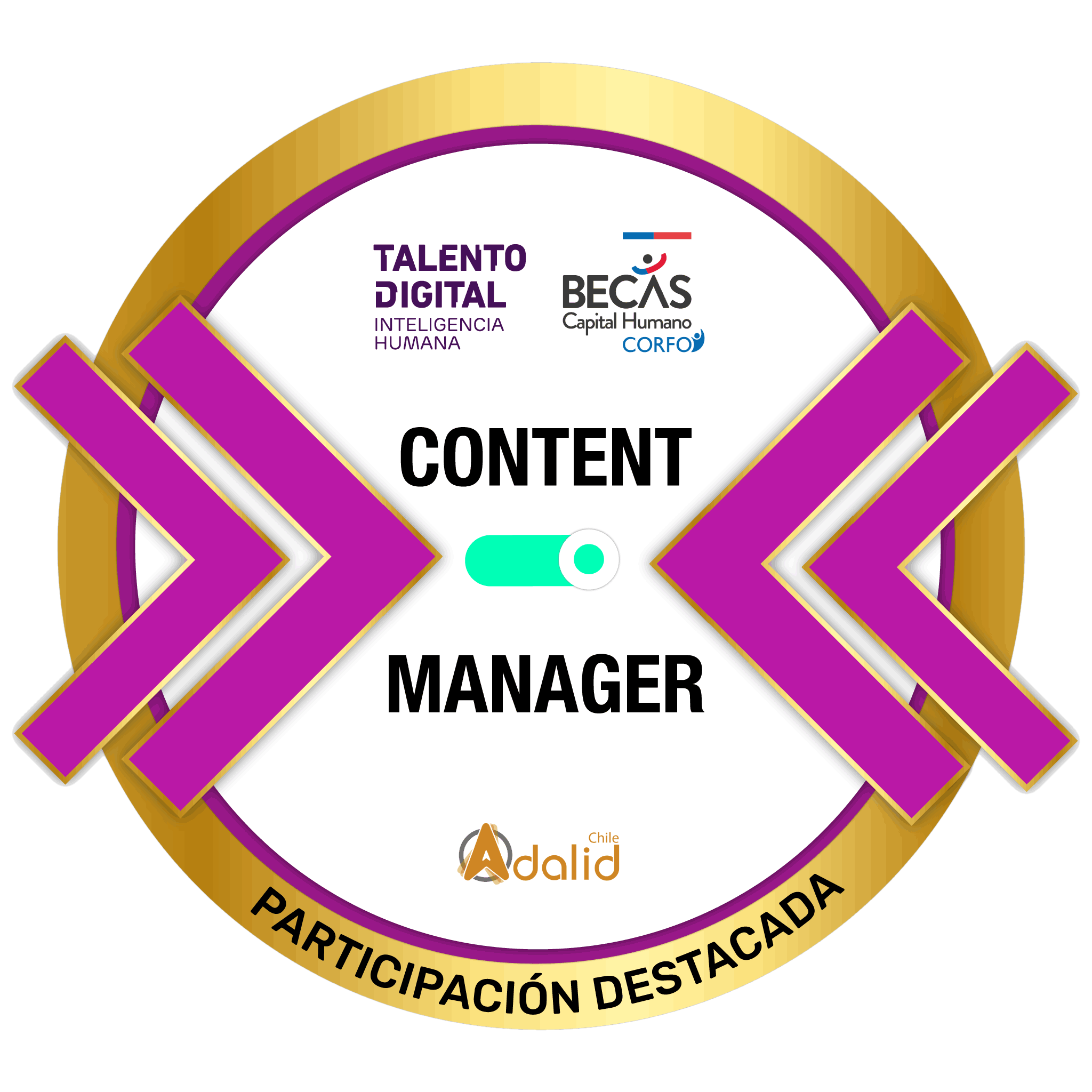 Insignia Content Manager